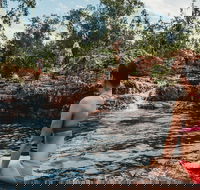 Litchfield National Park Day Tour from Darwin With Waterfalls And Buley Rockhole - Accommodation Mount Tamborine