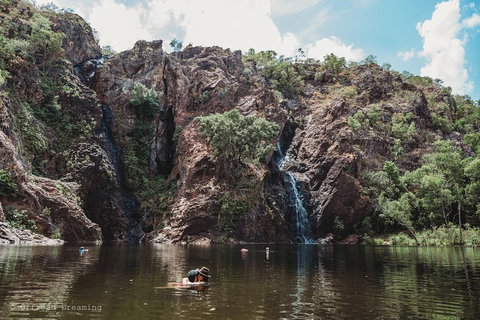 Litchfield National Park Day Tour From Darwin With Waterfalls And Buley Rockhole - Accommodation Mount Tamborine 1