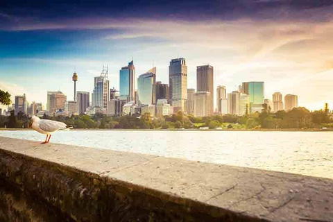 Private Sydney City And Bondi Beach Half Day Tour - Accommodation Mount Tamborine 2