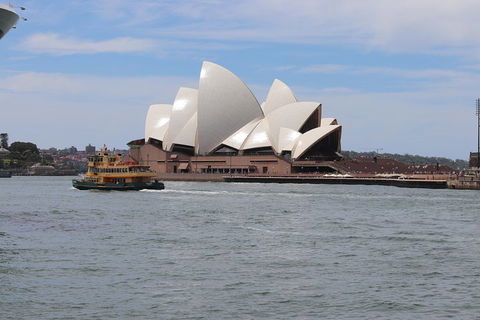 Private Sydney City And Bondi Beach Half Day Tour - Accommodation Mount Tamborine 5