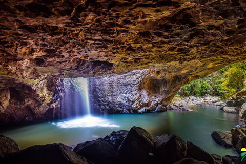 Full-day Springbrook National Park Tour From The Gold Coast - Accommodation Mount Tamborine 3