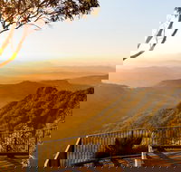 O'Reilly's  Lamington National Park incl. Alpaca Farm  Vineyard - Accommodation Mount Tamborine