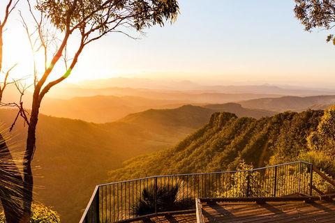 O'Reilly's & Lamington National Park Incl. Alpaca Farm + Vineyard - Accommodation Mount Tamborine 0