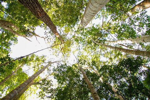 Fraser Island 4WD Tour From Noosa - Accommodation Mount Tamborine 0