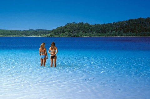Fraser Island 4WD Tour From Noosa - Accommodation Mount Tamborine 2
