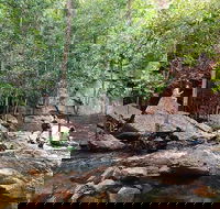 Ethical Adventures - Best in the WET - Litchfield / Kakadu 3 Day- max 10 guests - Accommodation Mount Tamborine