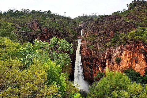 Ethical Adventures - Best In The WET - Litchfield / Kakadu 3 Day- Max 10 Guests - Accommodation Mount Tamborine 2