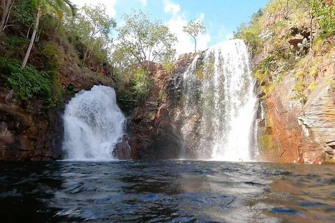 Ethical Adventures - Best In The WET - Litchfield / Kakadu 3 Day- Max 10 Guests - Accommodation Mount Tamborine 5