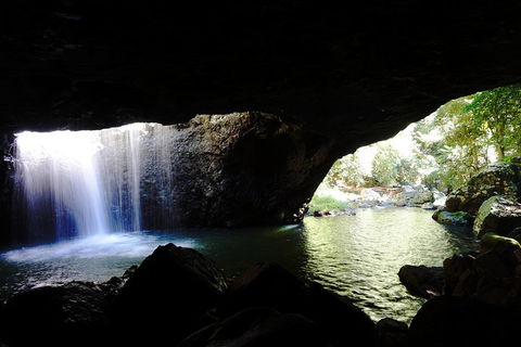 Rainforest & Waterfalls Extravaganza - Accommodation Mount Tamborine 0