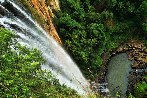 Rainforest & Waterfalls Extravaganza - Accommodation Mount Tamborine 1