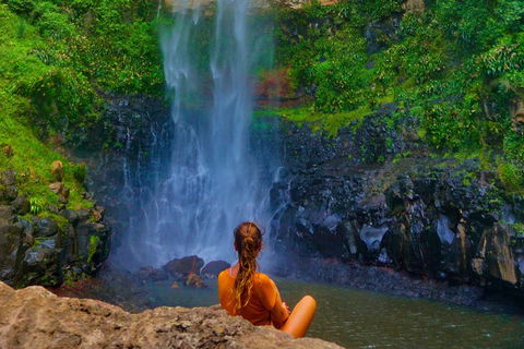 Rainforest & Waterfalls Extravaganza - Accommodation Mount Tamborine 2