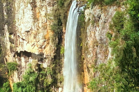 Rainforest & Waterfalls Extravaganza - Accommodation Mount Tamborine 3