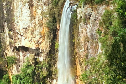 Natural Arch, Rainforest & Volcano Canyon - Private Half Day Tour - Accommodation Mount Tamborine 2