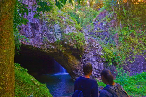 Natural Arch, Rainforest & Volcano Canyon - Private Half Day Tour - Accommodation Mount Tamborine 4