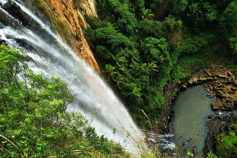 Natural Arch, Rainforest & Volcano Canyon - Private Half Day Tour - Accommodation Mount Tamborine 5