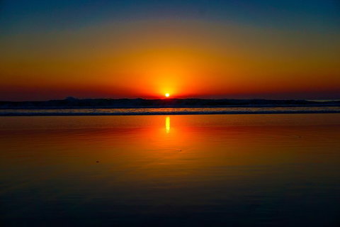 Glow Worms Private Tour - Nocturnal Rainforest Walk - Accommodation Mount Tamborine 3