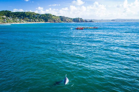 The Byron Bay Sea Kayak Tour - Accommodation Mount Tamborine 2