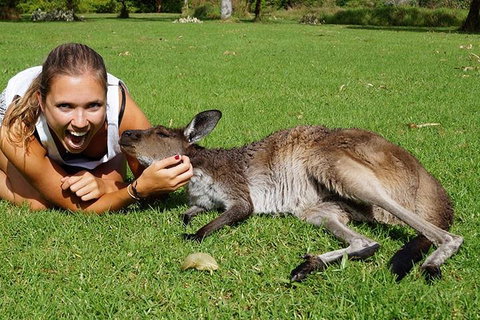 7-Day Tour In Sydney With Airport Pickup - Accommodation Mount Tamborine 4