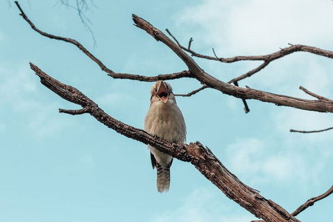 Highlights Of Kings Park - Accommodation Mount Tamborine 0