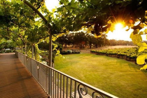 Busselton Jetty + Train Ride + Winery + Scenic Drive Full Day Tour - Accommodation Mount Tamborine 1