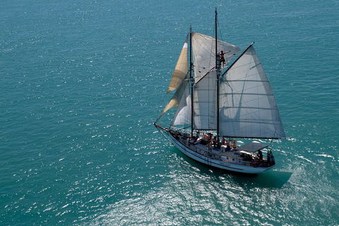 Whitehaven Beach Sailing And Snorkeling Cruise - Accommodation Mount Tamborine 1