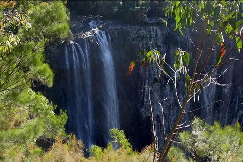 Byron Bay Hinterland Tour Including Rainforest Walk To Minyon Falls - Accommodation Mount Tamborine 0