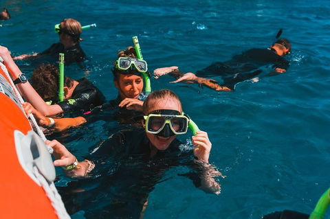 Whitehaven Beach And Hill Inlet Lookout Full-Day Snorkeling Cruise By High-Speed Catamaran - Accommodation Mount Tamborine 3