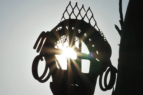 Wave Rock, Wild Flowers And Astro Photography - Accommodation Mount Tamborine 4