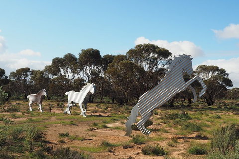Wave Rock, Wild Flowers And Astro Photography - Accommodation Mount Tamborine 5