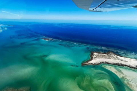 Wet Season Incredible Islands Tour - Horizontal Falls & Cygnet Bay Pearl Farm - Accommodation Mount Tamborine 4