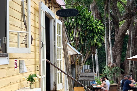 Luxury Hinterland Tour - Accommodation Mount Tamborine 4