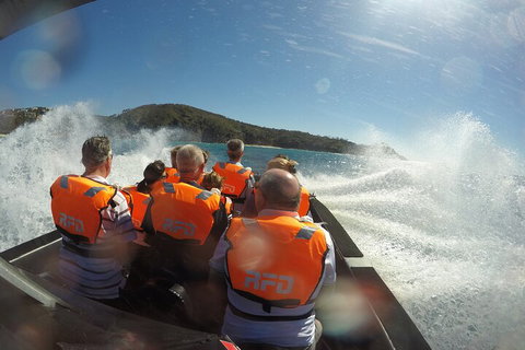 Noosa Thriller - 500hp Ocean Adventure Ride - Accommodation Mount Tamborine 3