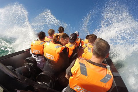 Noosa Thriller - 500hp Ocean Adventure Ride - Accommodation Mount Tamborine 4