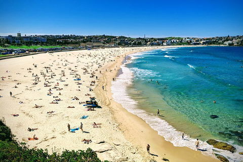 Sydney & Bondi Beach Plus Local Secrets With 'Personalised Sydney Tours' - Accommodation Mount Tamborine 5