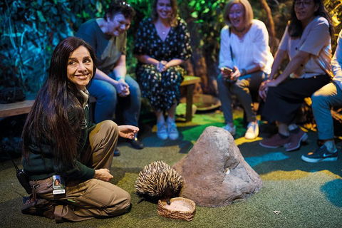 Sydney Taronga Zoo's Australian Animals Tour - Accommodation Mount Tamborine 0