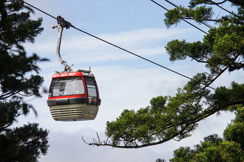 Sydney Taronga Zoo General Entry Ticket And Wild Australia Experience - Accommodation Mount Tamborine 2