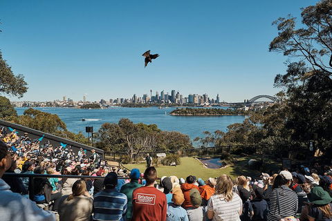 Sydney Taronga Zoo General Entry Ticket And Wild Australia Experience - Accommodation Mount Tamborine 5