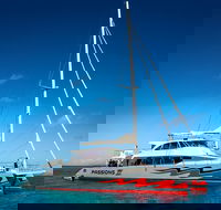 Passions of Paradise Great Barrier Reef Snorkel and Dive Cruise from Cairns by Luxury Catamaran - Accommodation Mount Tamborine