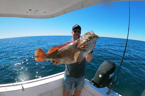 1/2 Day 5 Hour Offshore Fishing Charter - Accommodation Mount Tamborine 2