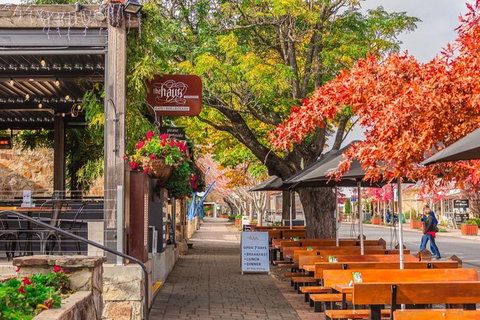 Full-Day Tour In South Australia Highlights - Accommodation Mount Tamborine 2