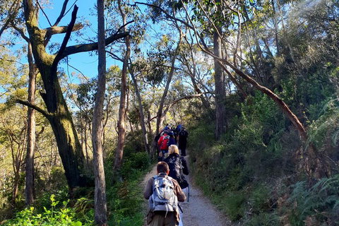 Self-Guided Waterfall Gully To Mount Lofty Hike From Adelaide - Accommodation Mount Tamborine 1