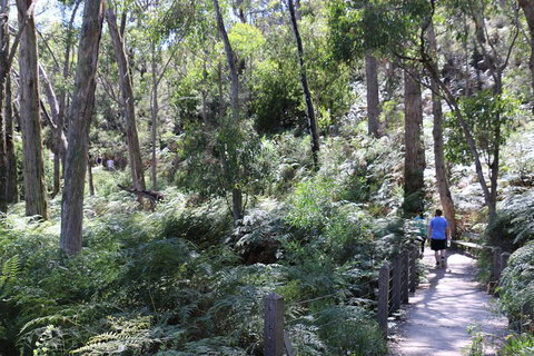 Self-Guided Waterfall Gully To Mount Lofty Hike From Adelaide - Accommodation Mount Tamborine 2