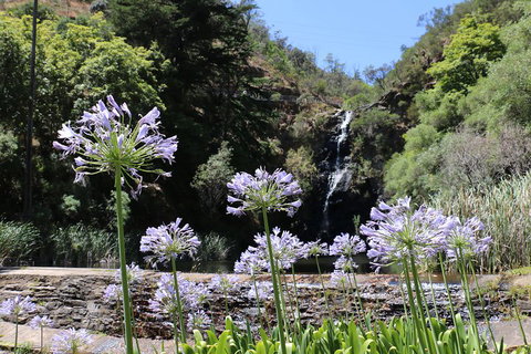 Self-Guided Waterfall Gully To Mount Lofty Hike From Adelaide - Accommodation Mount Tamborine 3