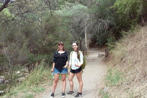Self-Guided Waterfall Gully To Mount Lofty Hike From Adelaide - Accommodation Mount Tamborine 4