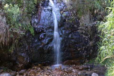 Self-Guided Waterfall Gully To Mount Lofty Hike From Adelaide - Accommodation Mount Tamborine 5