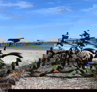 Adelaide City to Sea Bike Tour