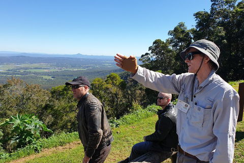 O'Reilly's & Lamington National Park From Brisbane - Accommodation Mount Tamborine 4