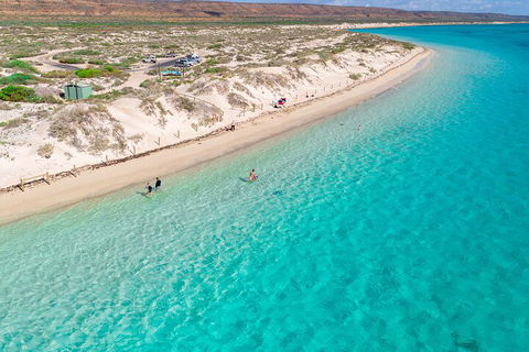 Ningaloo In A Day - Full Day Hike And Snorkel Tour With Lunch - Accommodation Mount Tamborine 0