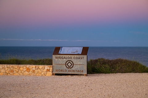 Ningaloo In A Day - Full Day Hike And Snorkel Tour With Lunch - Accommodation Mount Tamborine 5