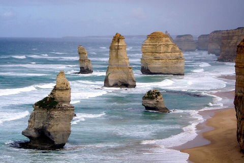 LGBT+ Friendly 2 Day Private Tour Great Ocean Road + Phillip Island - Accommodation Mount Tamborine 0